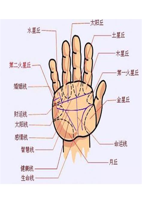 手相面相|如何看手相: 9 步骤（包含图片）